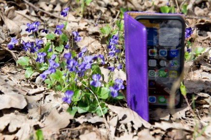 ����� ������� ������� ��������� ���� 30 ������