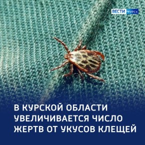 ��������� ��� ������: ����� ����� ������ ������