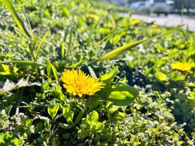 � ������� ������� ���������� ��������� ���������� ������ � �����������