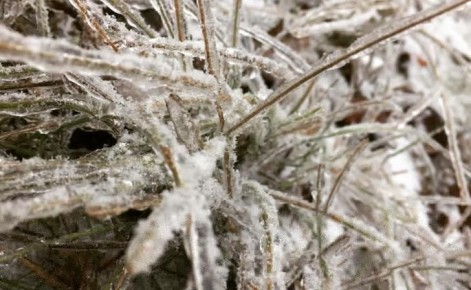 ����� ������������� � ������ ����������