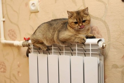 ������������ ����� � ������ ��������� ��������� 4 ���