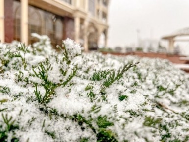 � ������� ������� ��� �������� � ���������� � ������� �����