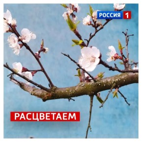 30 ������, �������. �������� ������� �� ������ ������, � ������ ���������� �������� �� +8�C, �� ���� ����� ����������: ��������� ������� ���� �� ���� ������