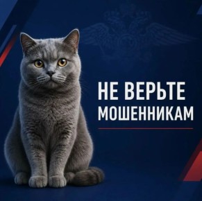 ��� ���� ������� �� �������������� ��������� � ���������� ������������� �����