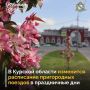 ������� ��������� � ���������� �������� ����������� ������� ����� � ��������� � ����� � ��������������� � ����������� ��� ��� � ����: