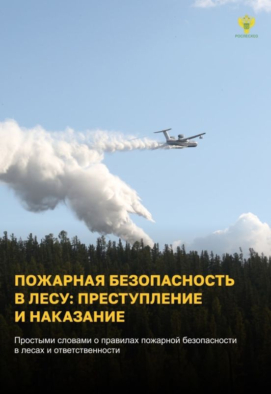 Пожарная безопасность в лесу: преступление и наказание