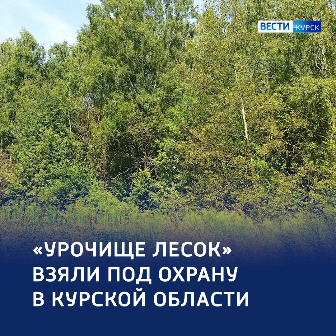 «Лесок» со статусом: новый заповедный участок