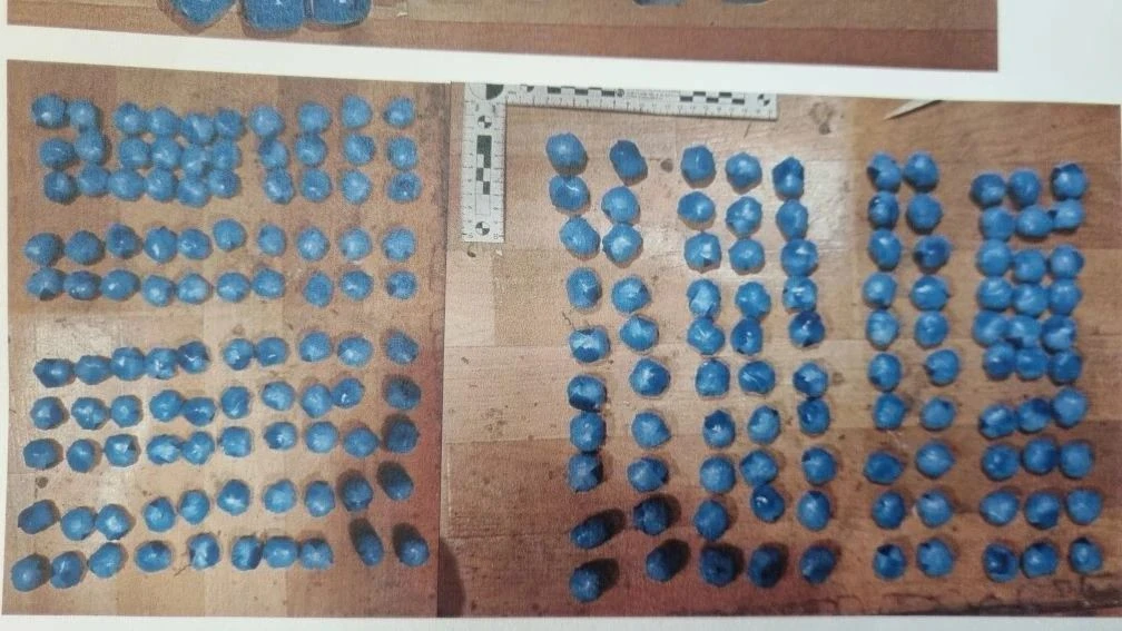 В Курске сотрудниками полиции задержаны два брата по подозрению в покушении на незаконный сбыт более 16 килограммов различных наркотических веществ