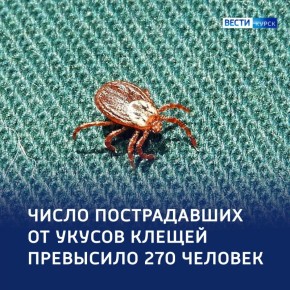 ������� �����: ��� ������ ���������� � �������