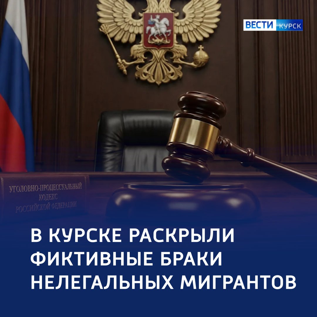 Фиктивные жёны — реальные сроки: приговоры организаторам нелегальной миграции