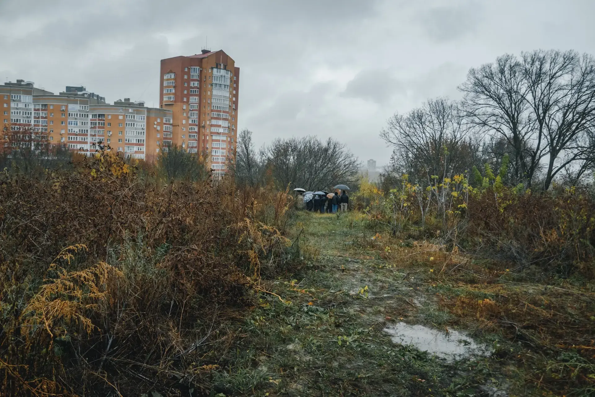 Курский суд лишил связанную с ОПГ фирму земли в центре города
