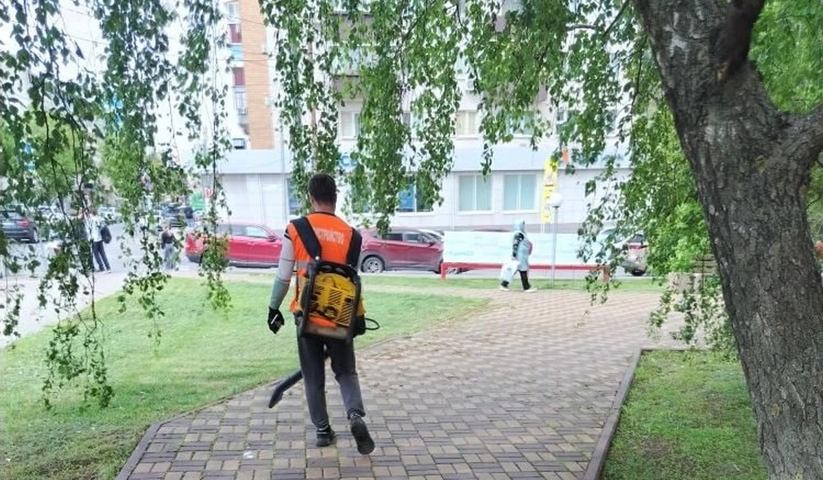 В Курске приводят в порядок парки и скверы