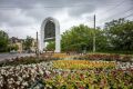 В парках, скверах и на улицах Курска высадили 43 тысячи однолетних цветов
