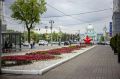 43 тысячи однолетних цветов высадили в парках, скверах и на центральных улицах Курска