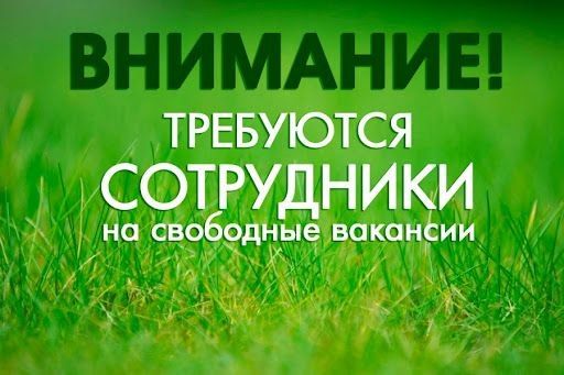 Владимир Зайцев: В Курской области требуется более 9 тысяч работников