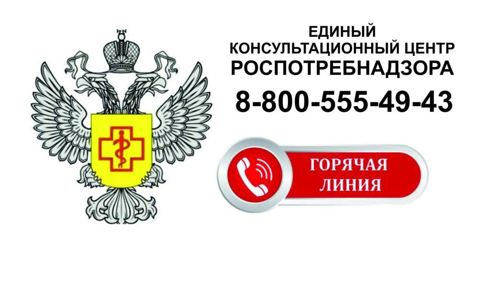 В период с 11 по 22 мая 2026 года специалистами Управления Роспотребнадзора по Курской области и ФБУЗ «Центр гигиены и эпидемиологии в Курской области» организовано консультирование граждан по вопросам детского отдыха...
