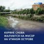 123 Утиный остров уберут вручную из-за нереста