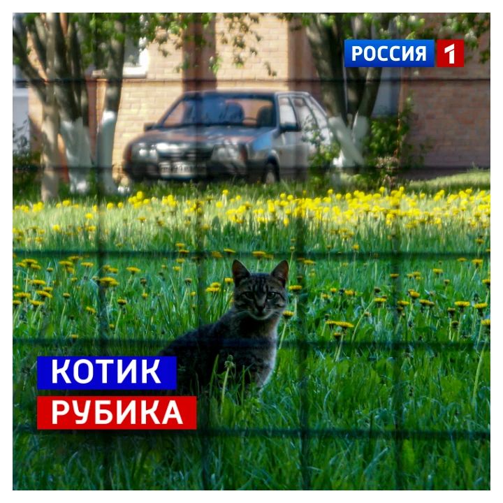 19 мая, вторник. Сегодня День рождения кубика Рубика