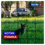 19 мая, вторник. Сегодня День рождения кубика Рубика