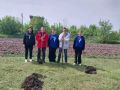 В рамках Всероссийской акции «Сад — связь поколений» учащиеся Кашарской и Беляевской школ приняли совместное участие в значимом и вдохновляющем мероприятии