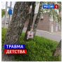 20 мая, среда. Сегодня Всемирный день травматолога