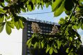 22 мая в Курской области ожидаются жара до +32, сильный ветер и грозы