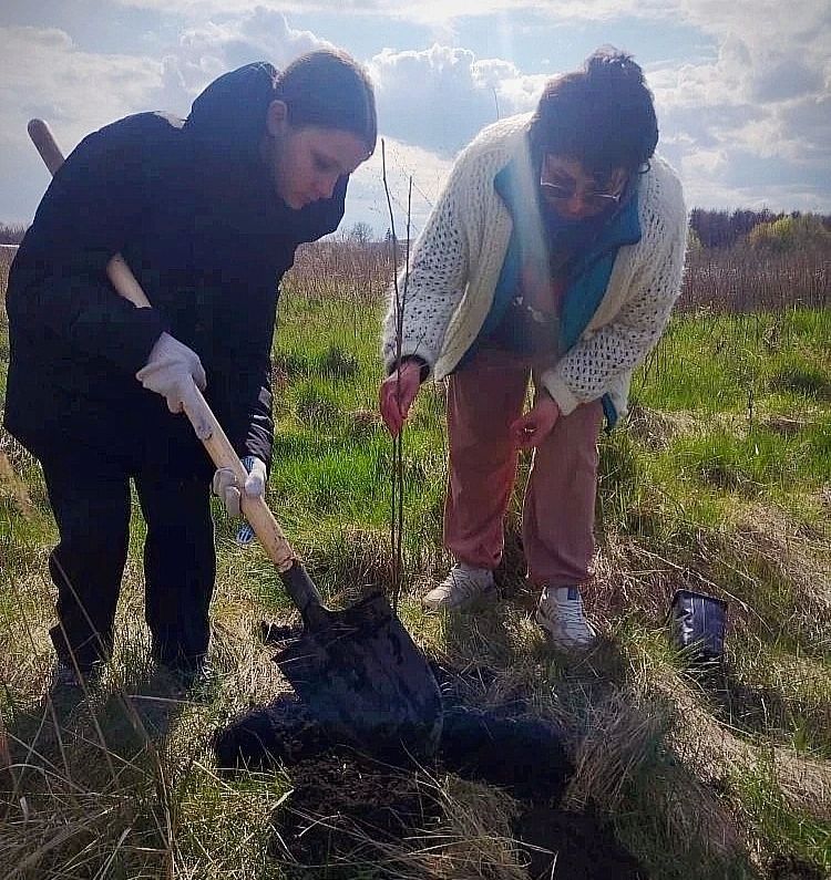 Еще один «зелёный островок» памяти появился в Курском районе благодаря активистам Волобуевского клуба