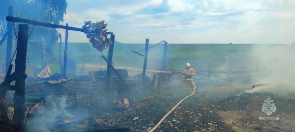 Под Курском неизвестные подожгли подворье