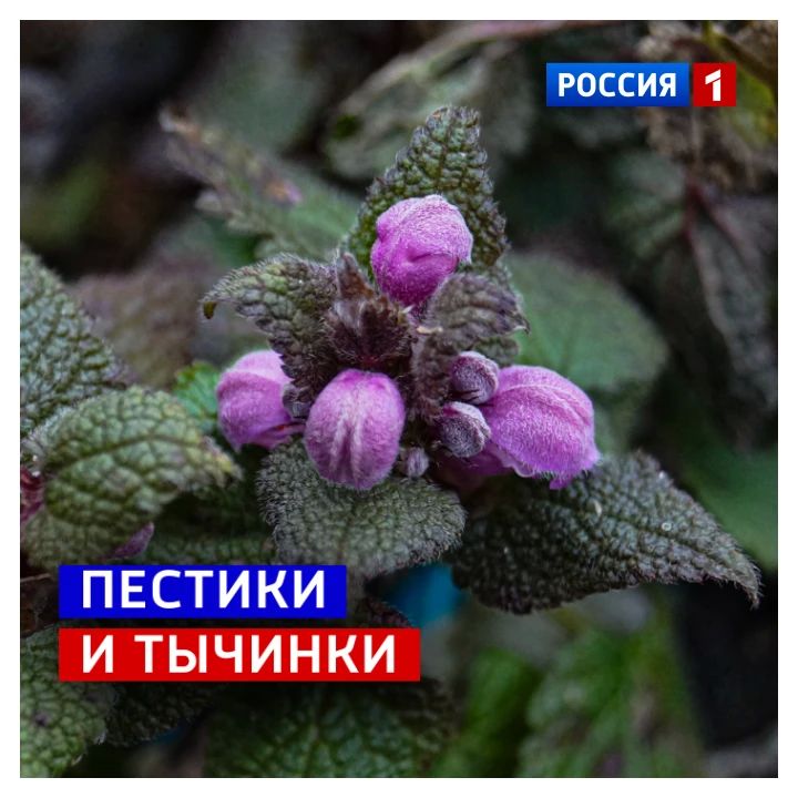 22 мая, пятница. Сегодня Международный день биологического разнообразия