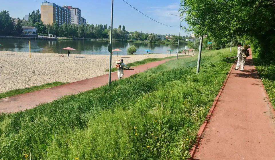 Восемь пляжей откроется в Курске к купальному сезону