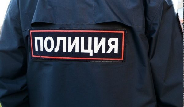 В Курске беременная рецидивистка совершила кражу сразу после освобождения