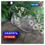24 мая, воскресенье. Сегодня День валяния в траве