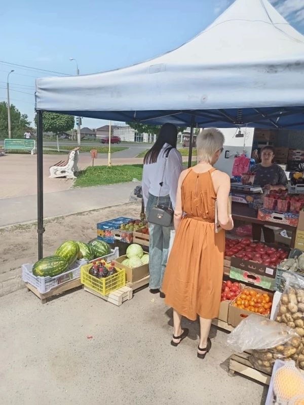 На минувшей неделе администрация Центрального округа Курска провела два рейда по борьбе с несанкционированной торговлей