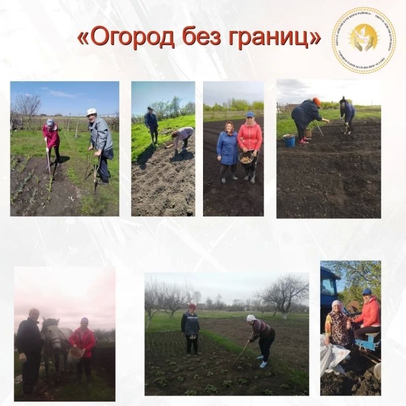 В Курском районе социальные работники вместе с волонтёрами помогли пожилым людям на огороде: посадили картофель, пропололи грядки