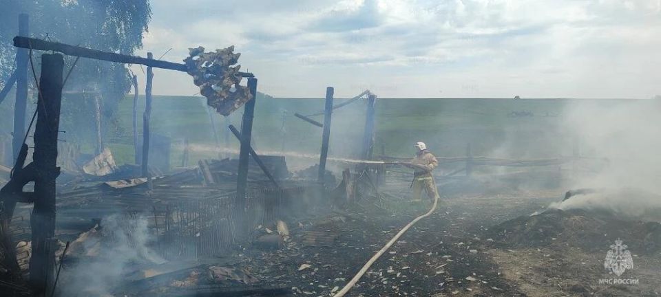 В Курской области за неделю пожарные выезжали по тревоге 145 раз