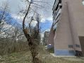 Обратился руководитель одной из управляющих компаний, у которой в ведении несколько многоквартирных домов, расположенных в районе ул. Карла Маркса, 67/2, 67/3, 67/4