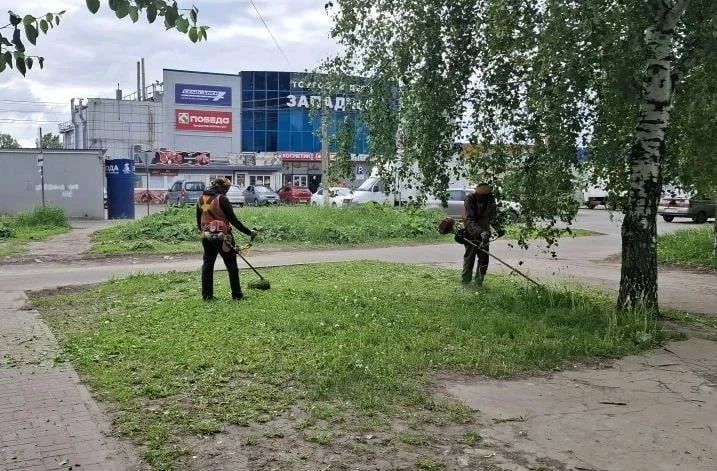 В общественных пространствах Курска убираются 29 рабочих и шесть машин
