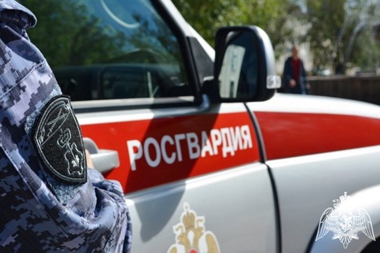 В Курской области росгвардейцы за прошедшую неделю совершили более 266 выездов по сигналу «тревога»