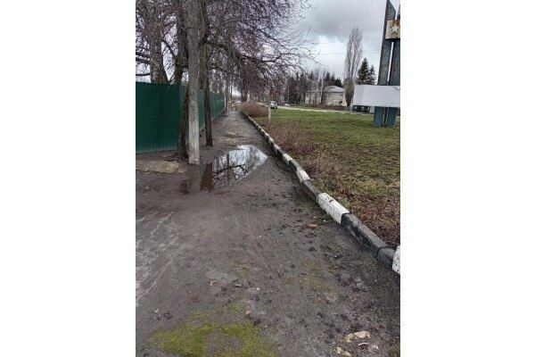 Друзья. В Курской области продолжается Всероссийское голосование за объекты, которые будут благоустроены в следующем году