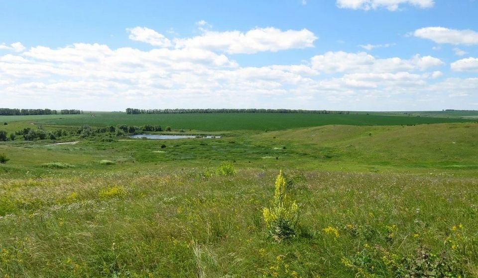 В Курской области четыре памятника природы внесены в госреестр недвижимости
