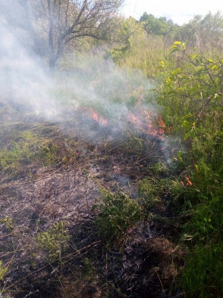 Под Курском тушили горящий овраг
