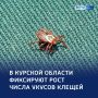 Боррелиоз у 4 человек: тревожная статистика жертв клещей