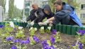 Глава Курска высадил 150 петуний во дворе дома на улице Республиканской