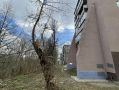 В Курске решат проблему со сползающими в овраг МКД на Карла Маркса