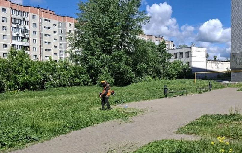 В Курске 29 человек очищают парки и скверы