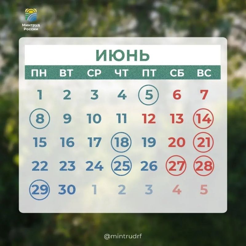 Сегодня в рубрике #PROДень – профессиональные праздники июня