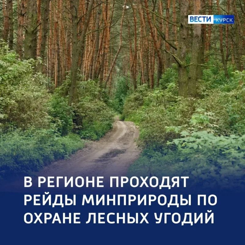 Браконьерский счёт: 12 протоколов — за неделю