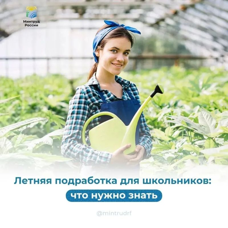 Лето - старт для вашей карьеры! Не теряйте время на поиски - кадровый центр «Работа России» уже подготовил варианты подработок и всю необходимую информацию