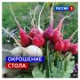 30 мая, суббота. Сегодня День окрошки! Календарное лето наступит уже в понедельник и при любой погоде