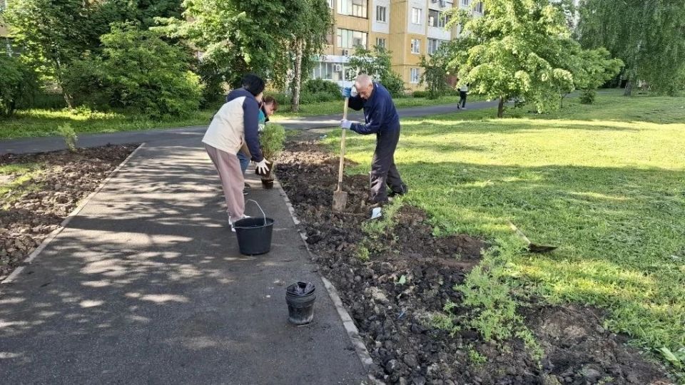 В Курске высадили деревья в месте незаконной торговли на Бойцов 9-й Дивизии